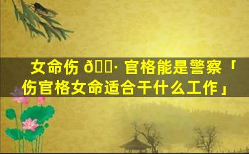 女命伤 🕷 官格能是警察「伤官格女命适合干什么工作」